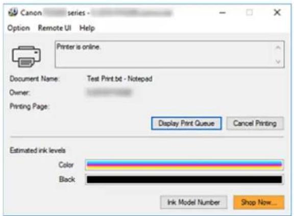 CANON PIXMA TS3320 - Display Estimated ink levels - 1