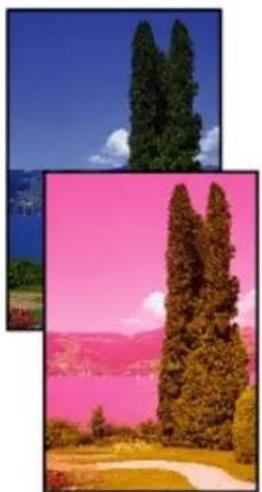 CANON PIXMA TS3320 - Printouts Are Blank/Blurry or Fuzzy/Inaccurate or Bleeding Colors/Streaks or Lines - 4
