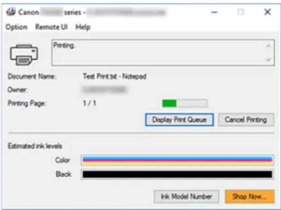 CANON PIXMA TS3320 - Launching the Canon IJ Status Monitor - 2