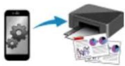 CANON PIXMA TS5320 - Copying - 5