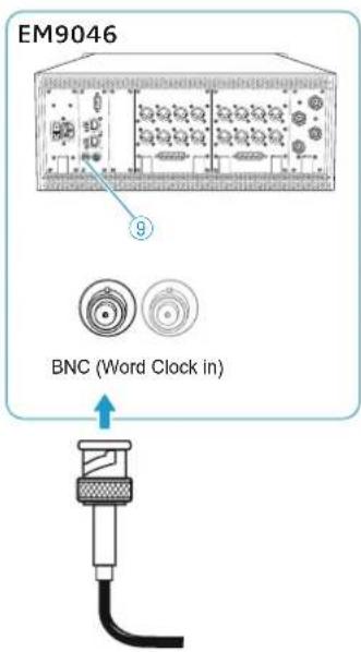 EM9046 BNC (Word Clock in)