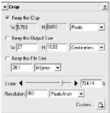 Crop Keep this Crop W:5.793 H:8.612 Pixels Keep this Output Size W:27 H:16.83 Centimeters Keep this File Size 26.1 MBytes Scale: 734.14 % Resolution: 360 Pixels/Inch Custom...