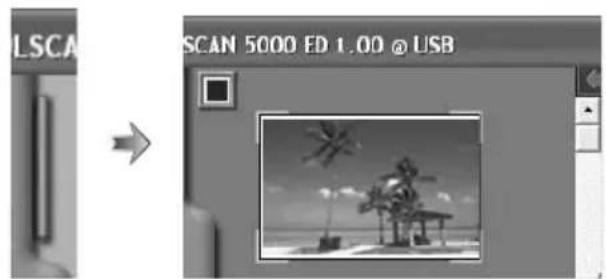 LSCA SCAN 5000 ED 1.00 @ USB