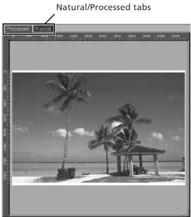 NIKON Super Coolscan 5000 - The Preview Area - 1