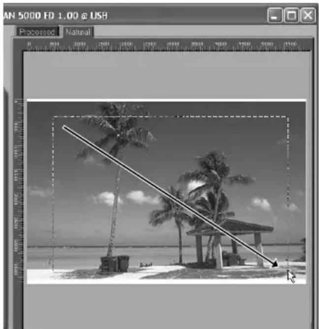 NIKON Super Coolscan 5000 - Step 7 — Select a Crop - 3