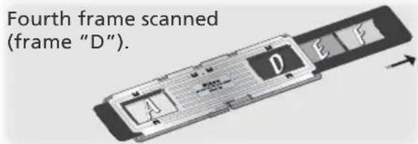 Fourth frame scanned (frame "D").