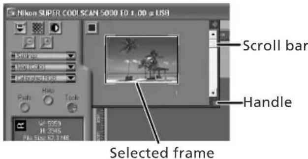 Nikon SUPER COOL SCAN 5000 EDS USB Scroll bar Handle Selected frame