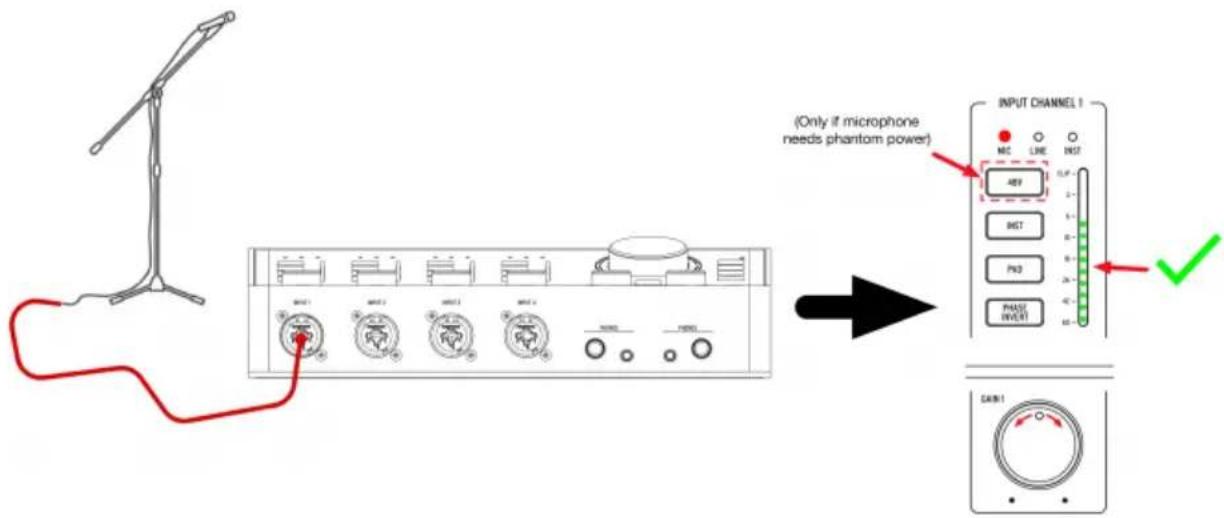 Arturia AudioFuse Studio - Wie nimmt man mit einem Mikrofon auf - 1