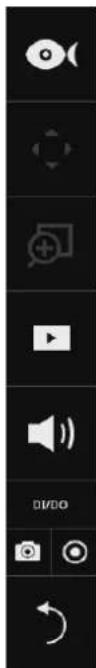 Vertical toolbar with video and audio control icons including play, speaker, and playback controls