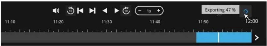 Exporting 47 %