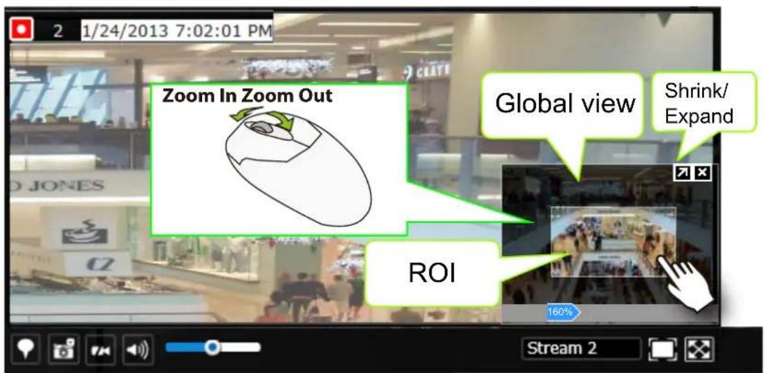 Zoom In Zoom Out Global view Shrink/ Expand ROI 160% Stream 2