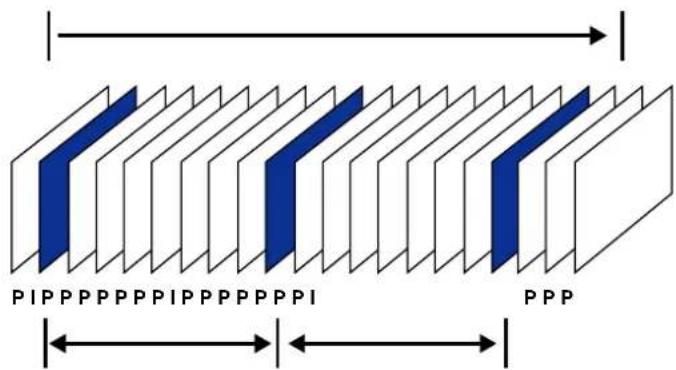 P I P P P P P P I P P P P P P I P P P P P P