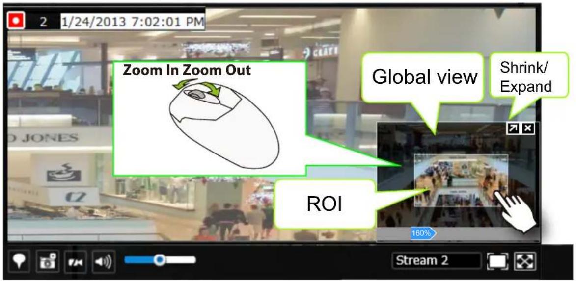 Zoom In Zoom Out Global view Shrink/ Expand ROI 160% Stream 2 2 1/24/2013 7:02:01 PM