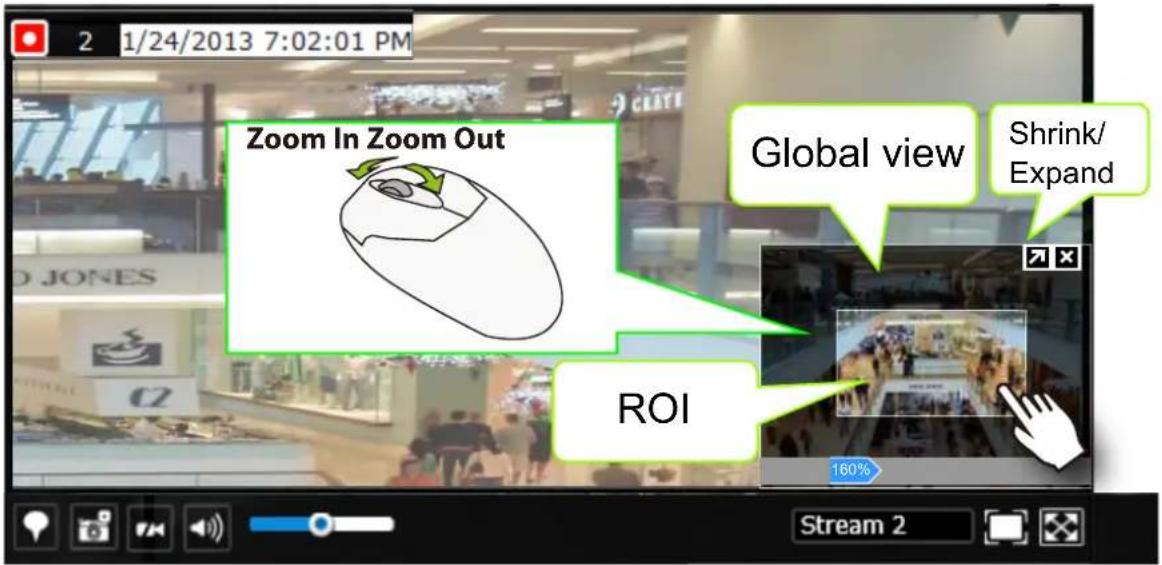 Zoom In Zoom Out Global view Shrink/ Expand ROI 160% Stream 2