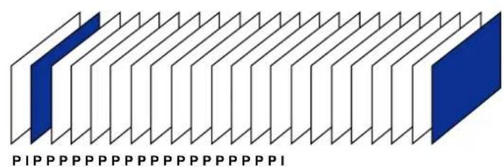 PIP PP PP PP PP PP PP PP PP PPI