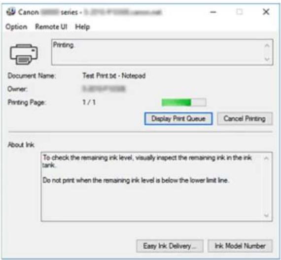 CANON PIXMA G6020 - Launching the Canon IJ Status Monitor - 2