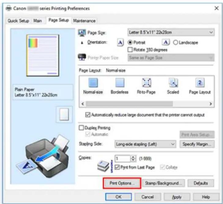 CANON PIXMA G6020 - Changing the Print Options - 1