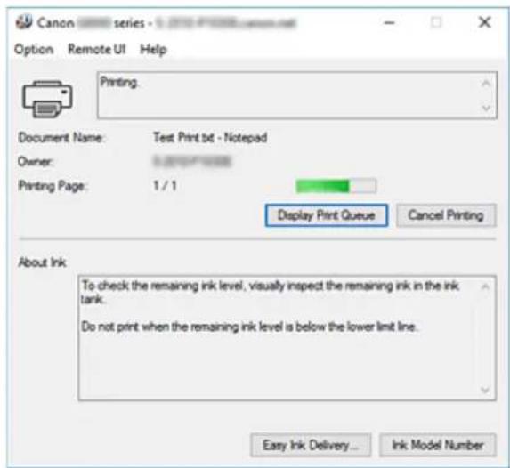 CANON PIXMA G6020 - Canon IJ Status Monitor Description - 1