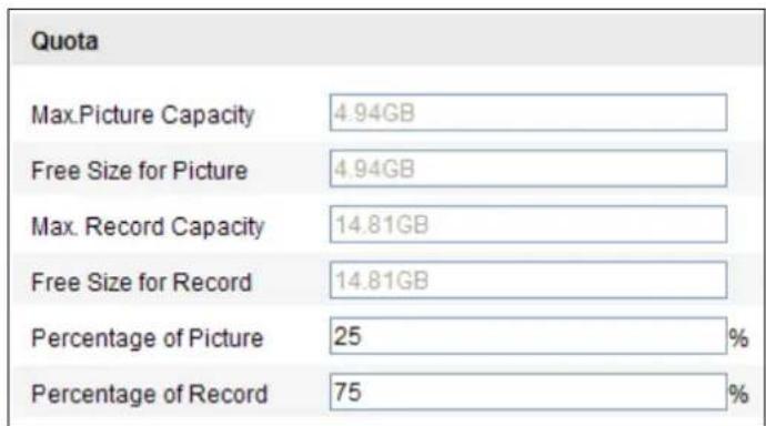 Hikvision DS-TCP345D - Add the network disk. - 6