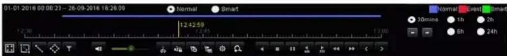 Hikvision IK-4142BH-MH/P - Playback Interface - 2
