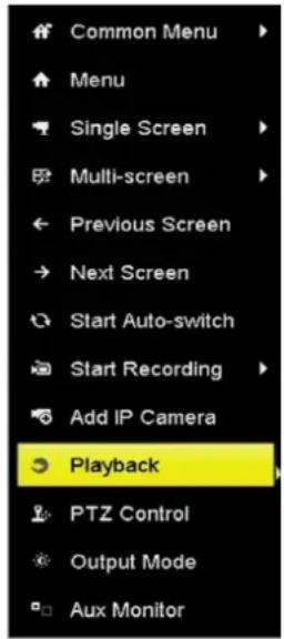 Hikvision IK-4142BH-MH/P - Playing Back by Normal Search - 1