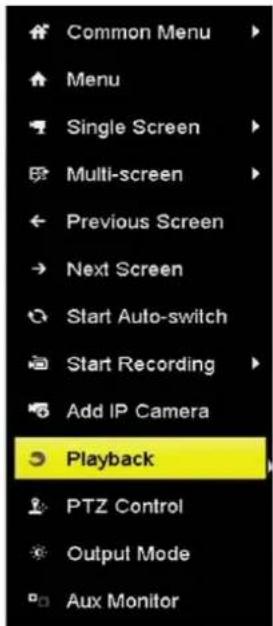 Hikvision IK-4142B-MH/W - Playback by Channel - 1