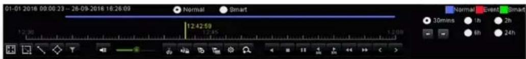 Hikvision IK-4142B-MH/W - Playback Interface - 2