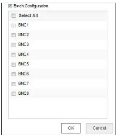 Batch Configuration Select All BNC1 BNC2 BNC3 BNC4 BNC5 BNC6 BNC7 BNC8 OK Cancel