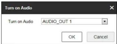 Turn on Audio Turn on Audio AUDIO_OUT 1 OK Cancel