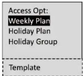 Access Opt: Weekly Plan Holiday Plan Holiday Group Template