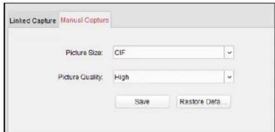Linked Capture Manual Capture Picture Size: CIF Picture Quality: High Save Restore Data...