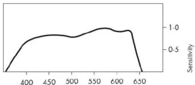 Ilford XP2 Super 400 - SPECTRAL SENSITIVITY Wedge spectrogram to tungsten light (2856K) - 1