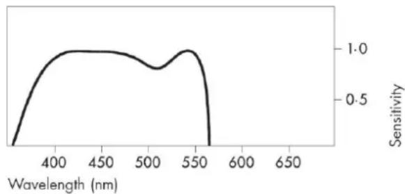 Ilford Ortho Plus - SPECTRAL SENSITIVITY - 1