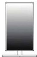 LG 27BL55U - WARNING - 4