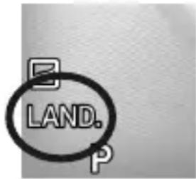 B LAND. P