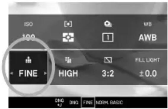ISO 100 FINE HIGH 3:2 WB AWB FILL LIGHT ±0.0 CNG DNG FINE NORMAL BASIC