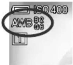 ISO 400 AWB B2 C6
