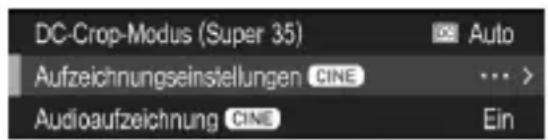 DC-Crop-Modus (Super 35) Auto Aufzeichnungseinstellungen CINE Audioaufzeichnung CINE Ein