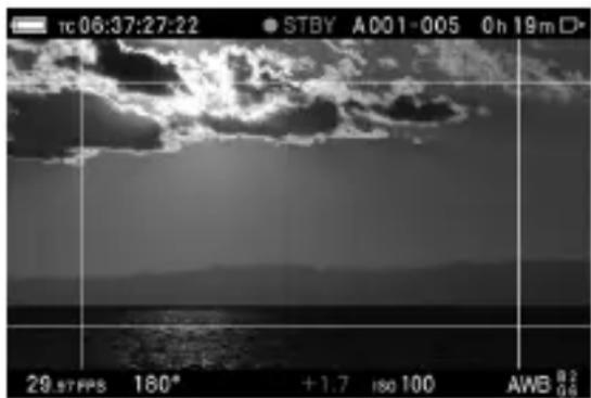 SIGMA Fp - FRAME GUIDE - 1