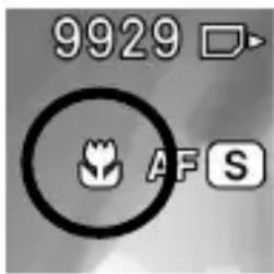 9929 AFS