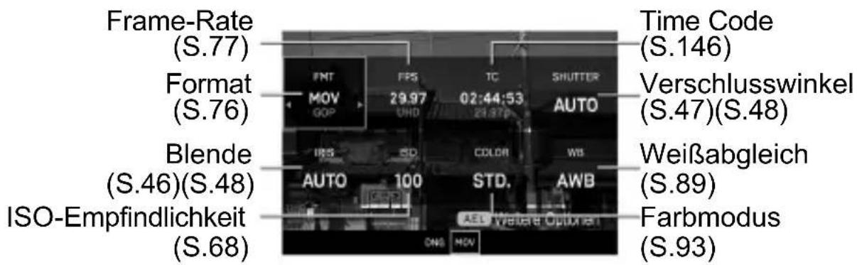 Frame-Rate (S.77) Format (S.76) Blende (S.46)(S.48) ISO-Empfindlichkeit (S.68) Time Code (S.146) Verschlusswinkel (S.47)(S.48) Weißabgleich (S.89) Farbmodus (S.93)