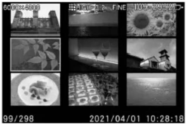 SIGMA Fp - NEUN BILDER AUF EINMAL ANSCHAUEN (KONTAKTKOPIE-ANSICHT) - 1