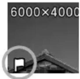 6000×4000