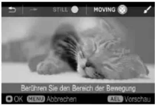 STILL MOVING Berühren Sie den Bereich der Bewegung OK MENU Abbrechen AEL Vorschau