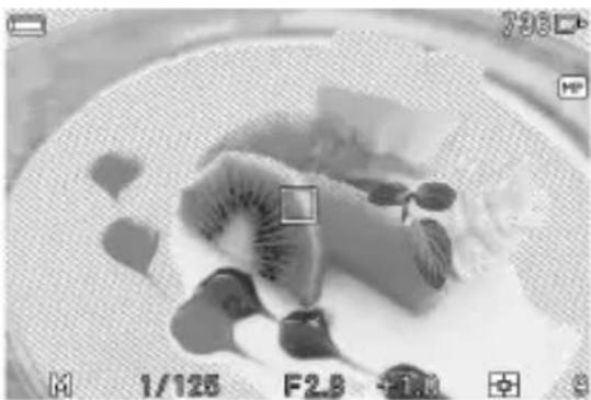 SIGMA Fp - ZEBRAMUSTER - 1