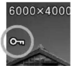 6000×4000