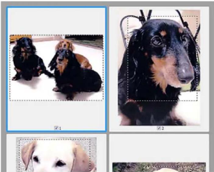 CANON Maxify MB2120 - Creating Multiple Cropping Frames - 1