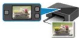 CANON Maxify MB2120 - Printing - 3