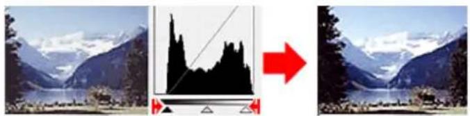 CANON Maxify MB2120 - Images with widely distributed data - 1