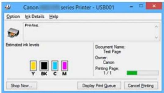 CANON Maxify MB2120 - Canon IJ Status Monitor Description - 1